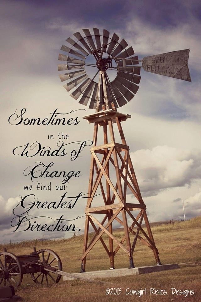 Windmill Sayings And Quotes